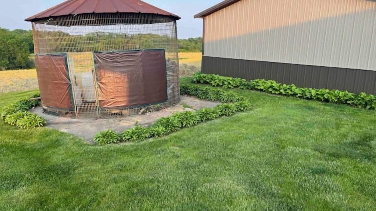 Photo of Outdoor in Bellevue