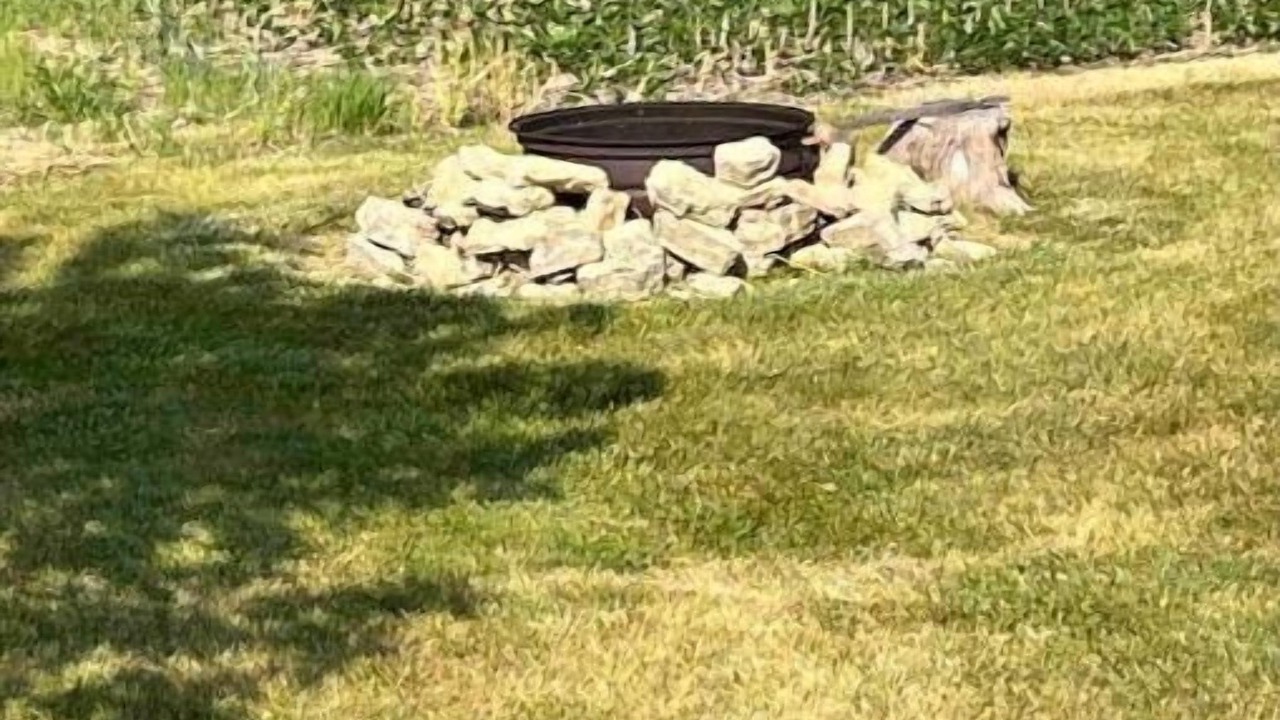Photo of Others in Bellevue