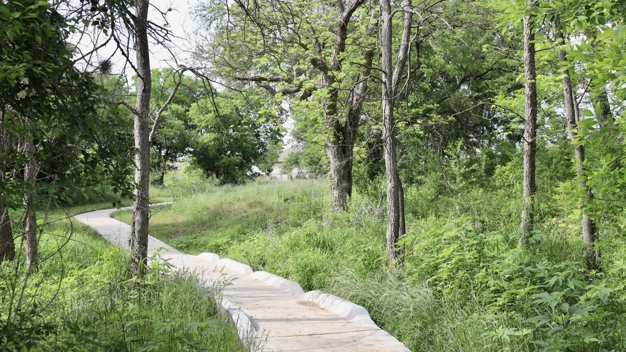 Photo of Others in Austin