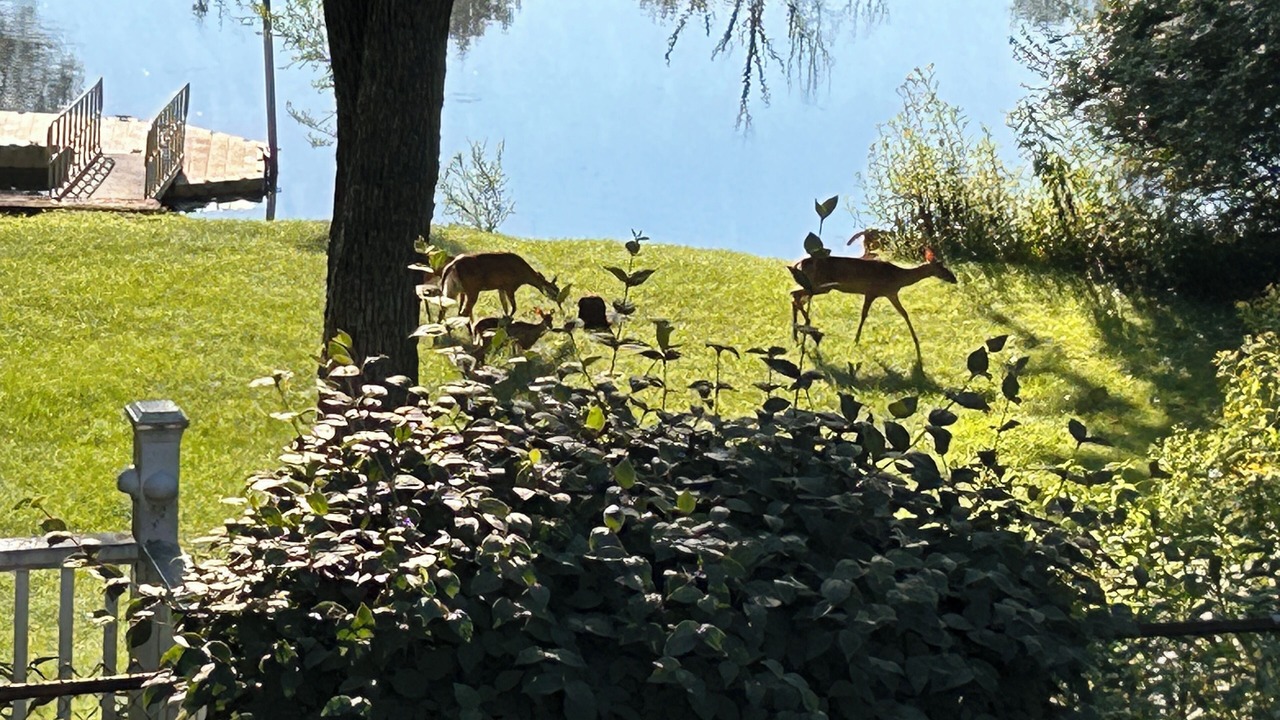 Photo of Others in South Bend