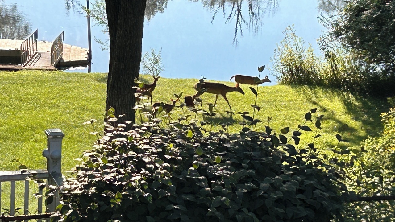 Photo of Others in South Bend