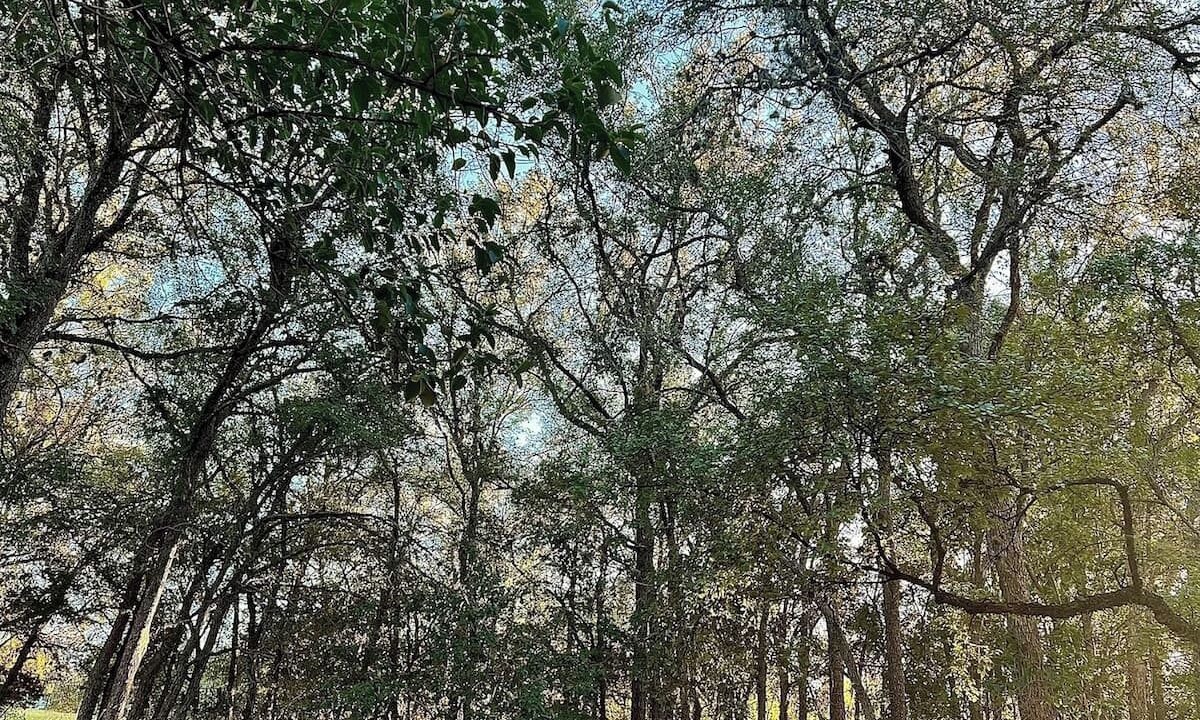 Photo of Others in Parker Lane