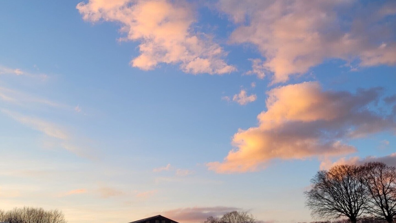 Photo of Others in Chamesol