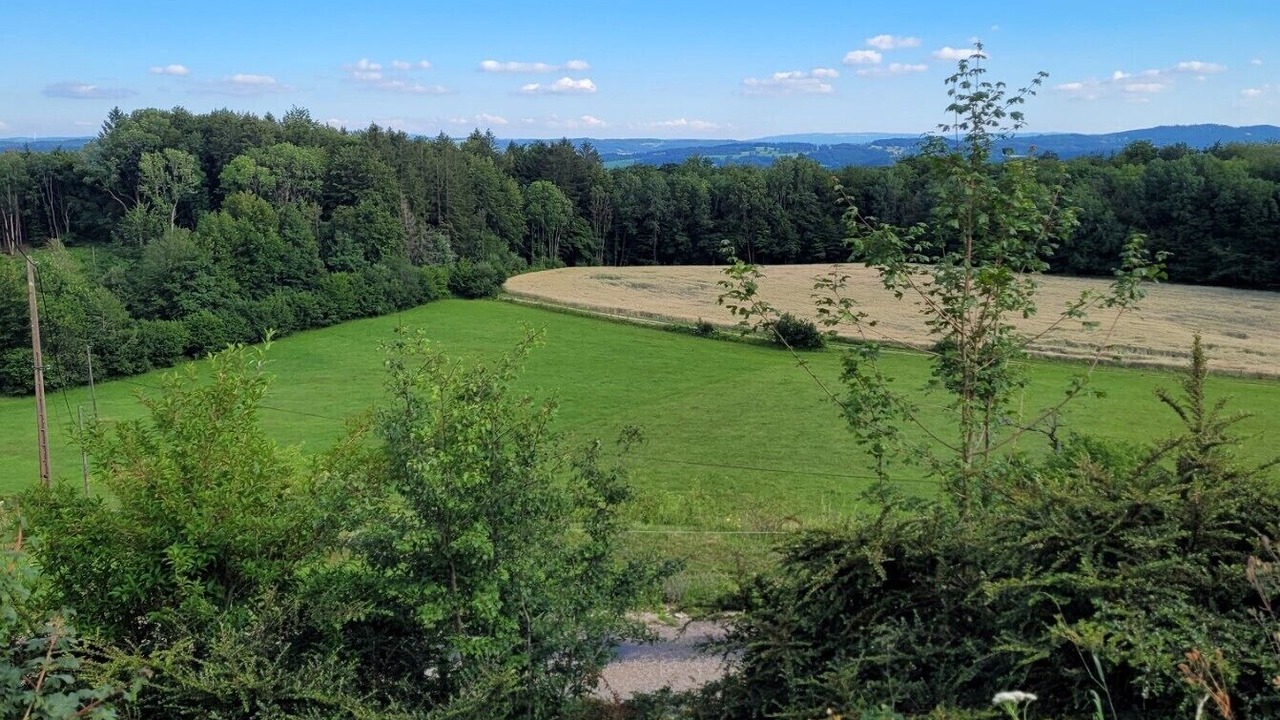 Photo of Others in Chamesol