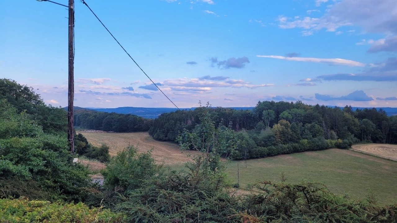 Photo of Others in Chamesol