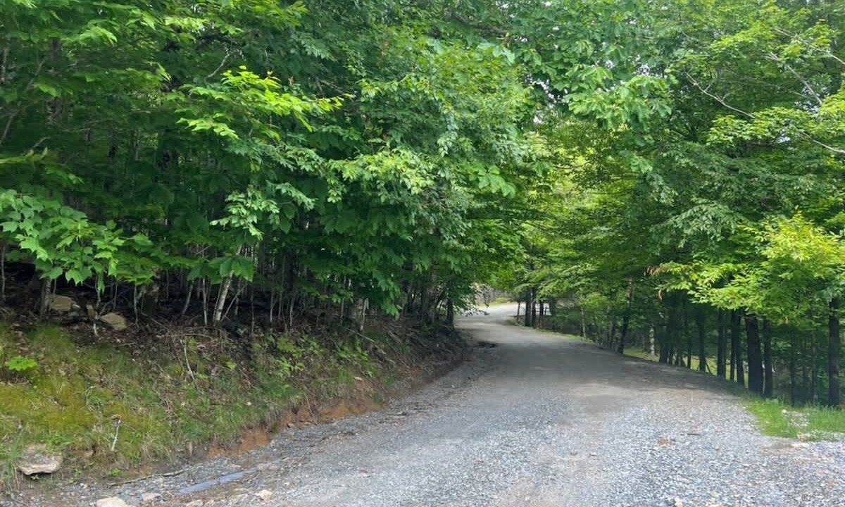 Photo of Others in Beech Mountain