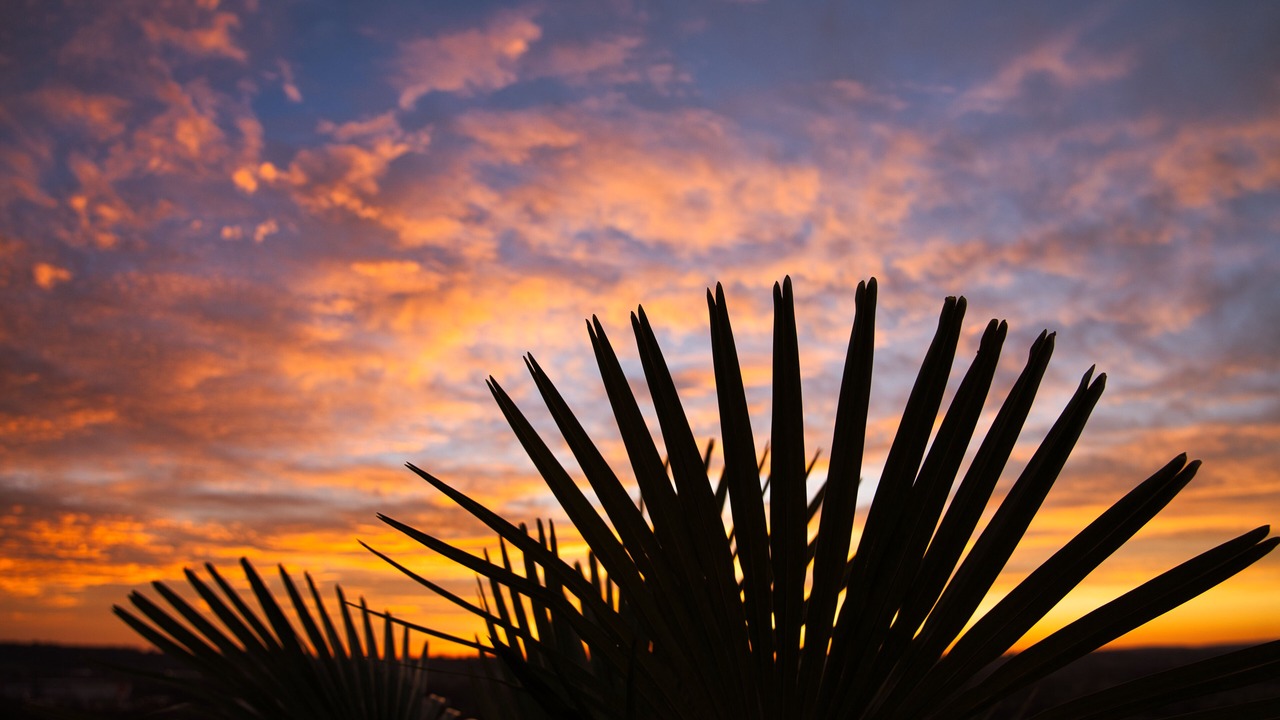 Photo of Others in Garchizy