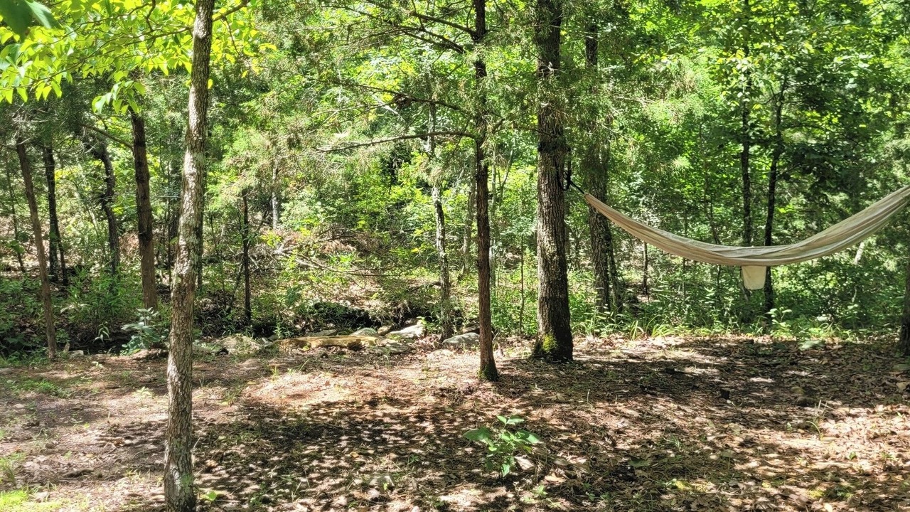 Photo of Outdoor in Harrison