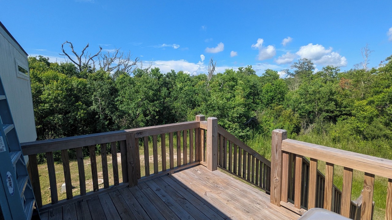 Photo of Outdoor in Hackberry