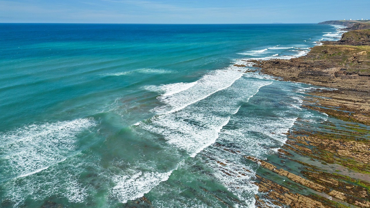 Photo of Others in Widemouth Bay