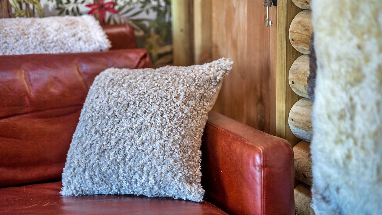 Photo of Others in Widemouth Bay