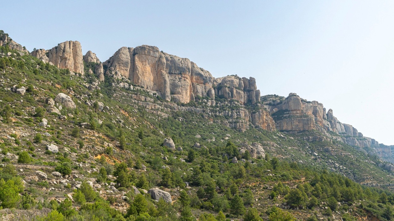 Photo of Others in La Morera de Montsant