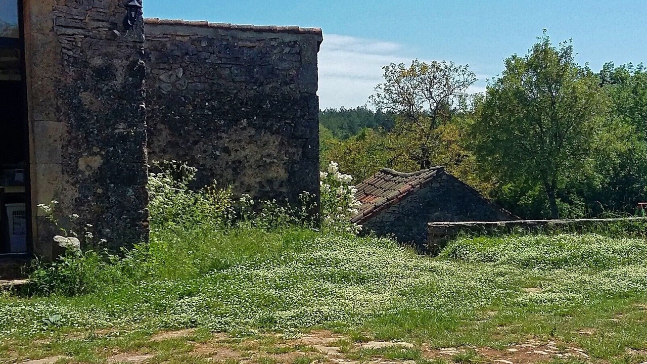 Photo of Outdoor in Vissec