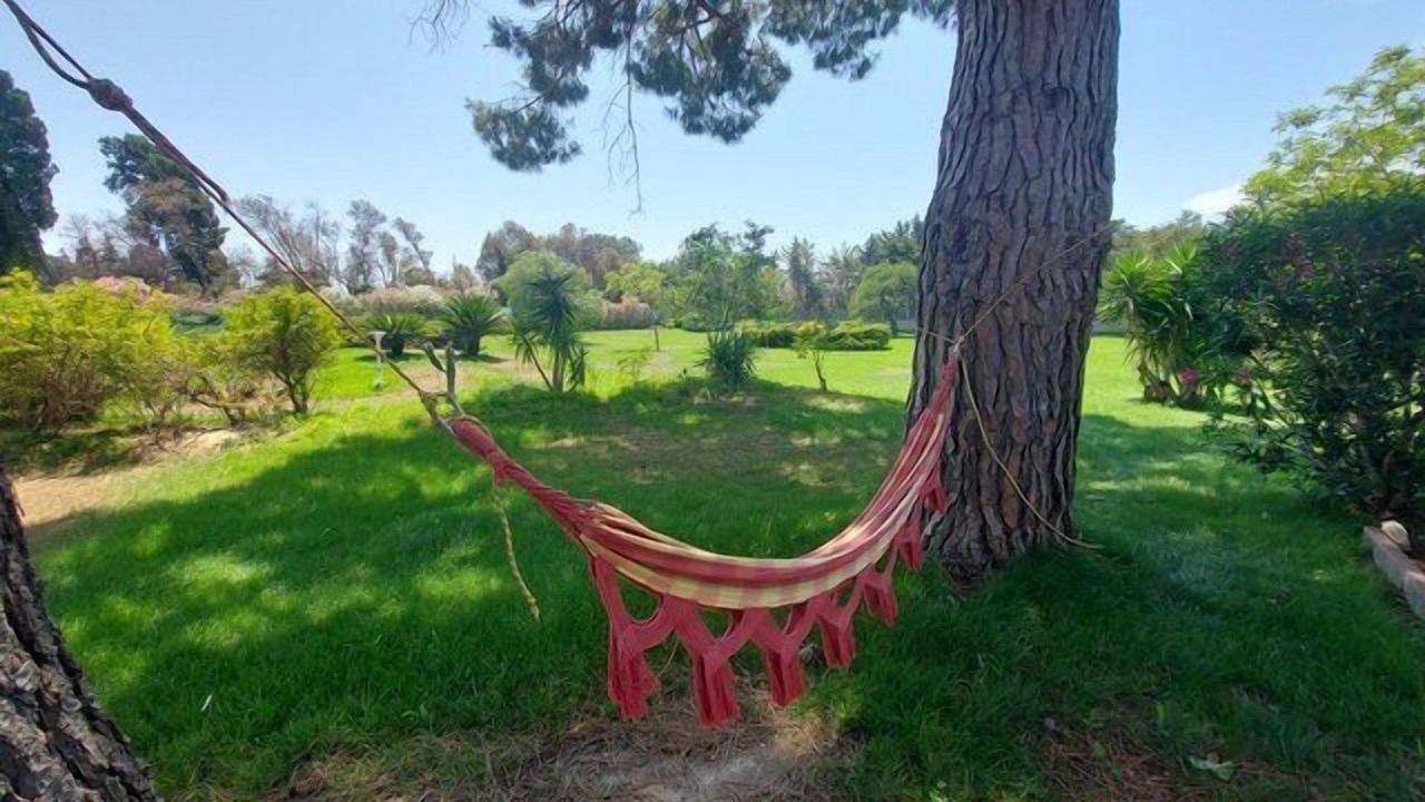 Photo of Outdoor in Perpignan