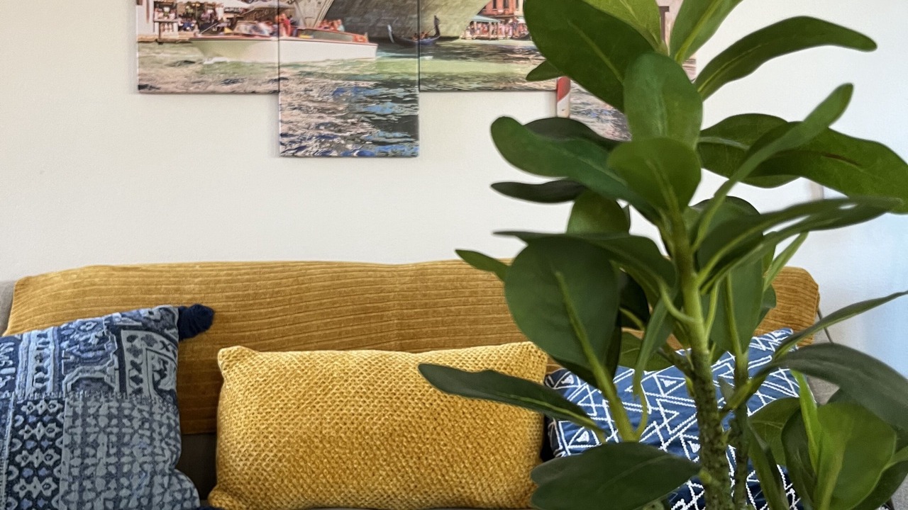 Photo of Others in Modesto