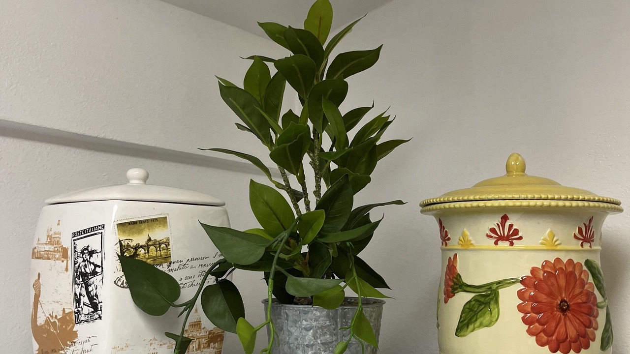 Photo of Others in Modesto