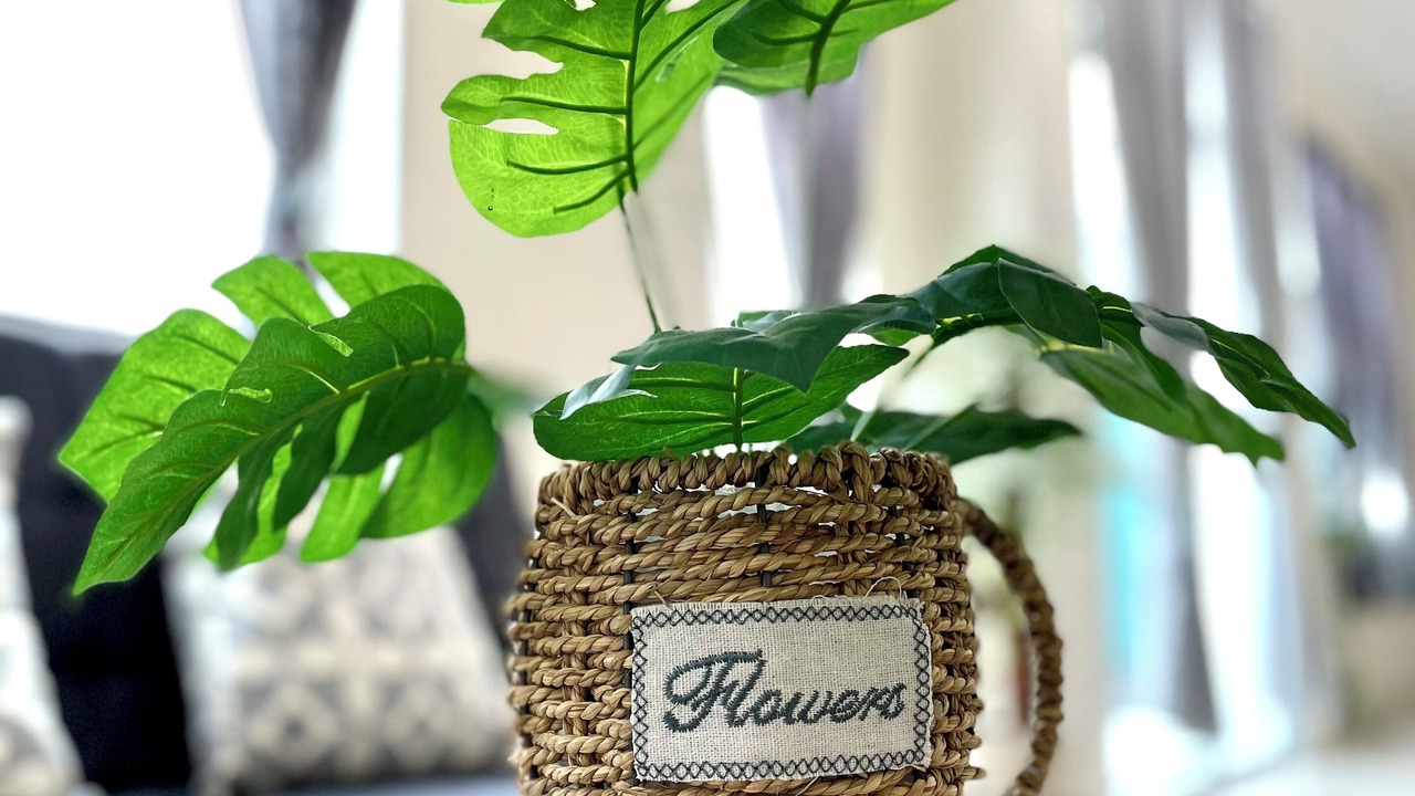 Photo of Others in Durian Sebatang