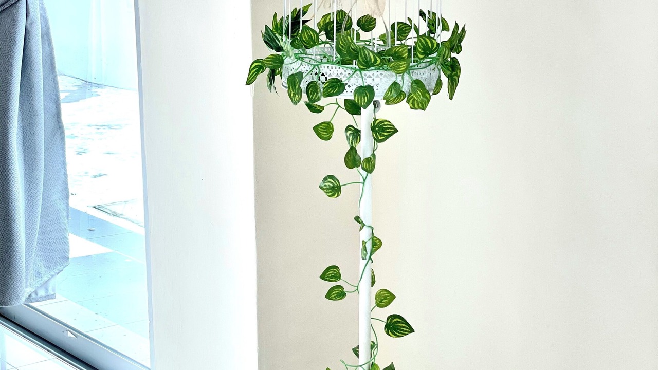 Photo of Others in Durian Sebatang