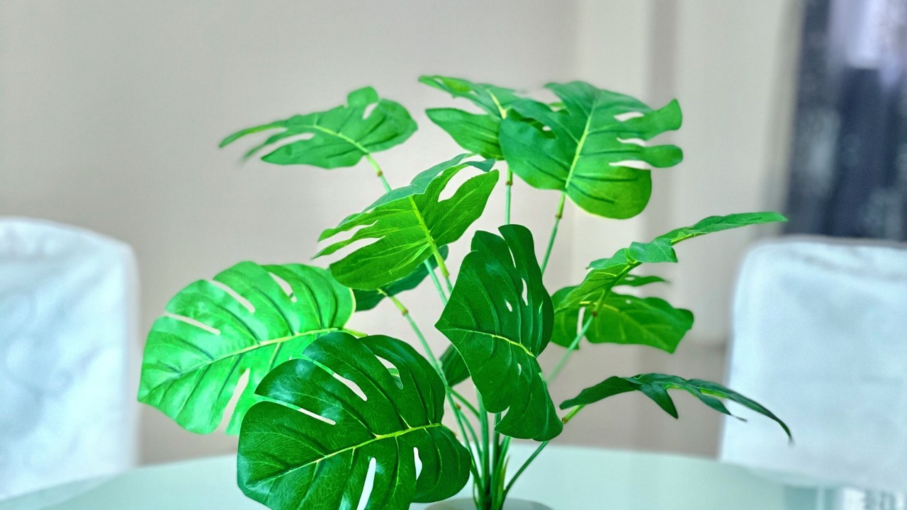 Photo of Others in Durian Sebatang