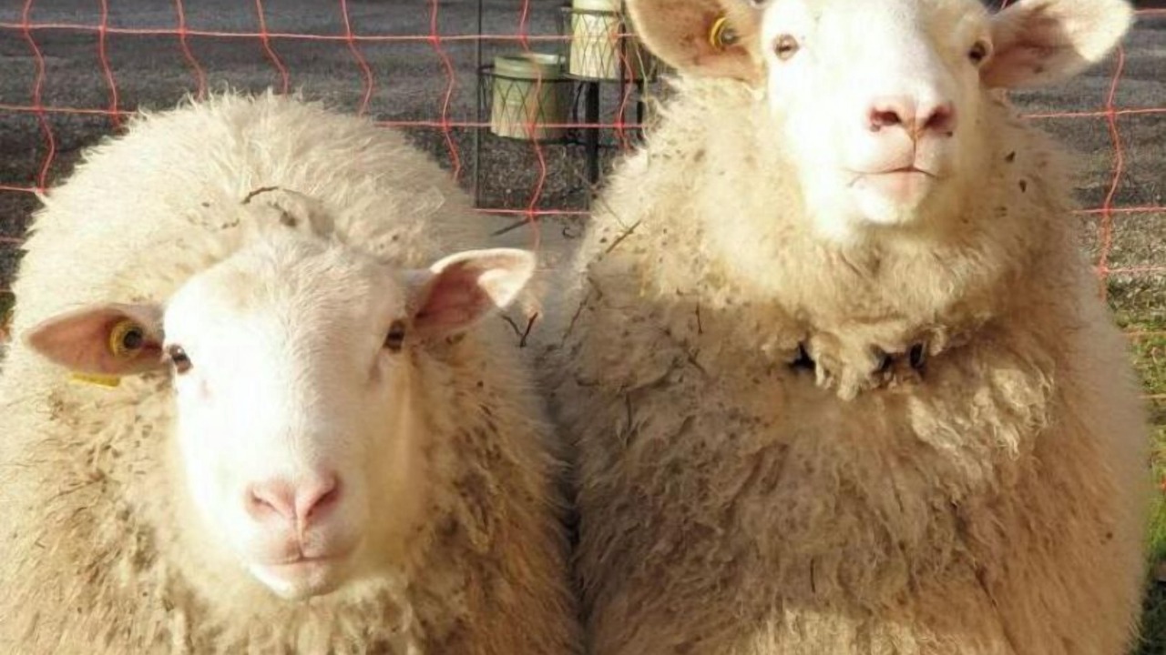 Photo of Outdoor in Clairefontaine-en-Yvelines