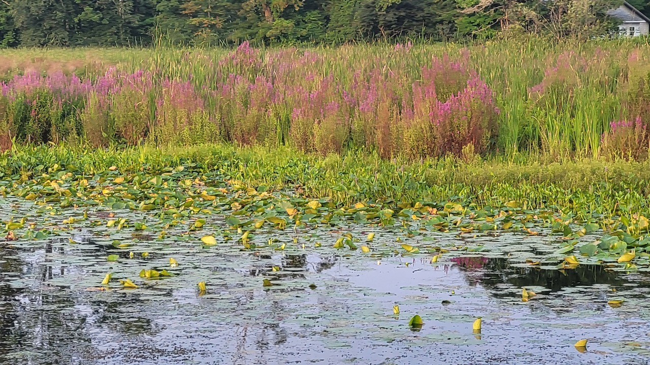 Photo of Outdoor in Sandy Creek
