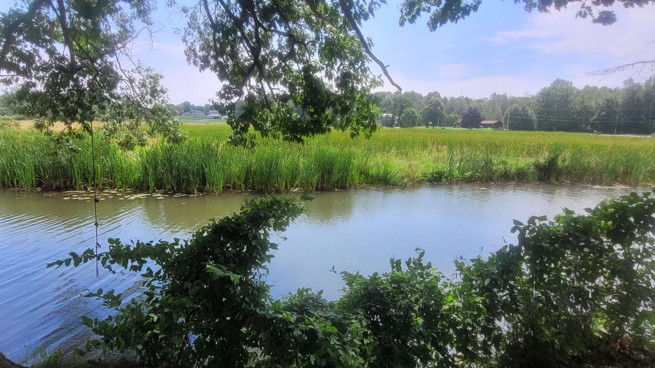 Photo of Outdoor in Sandy Creek