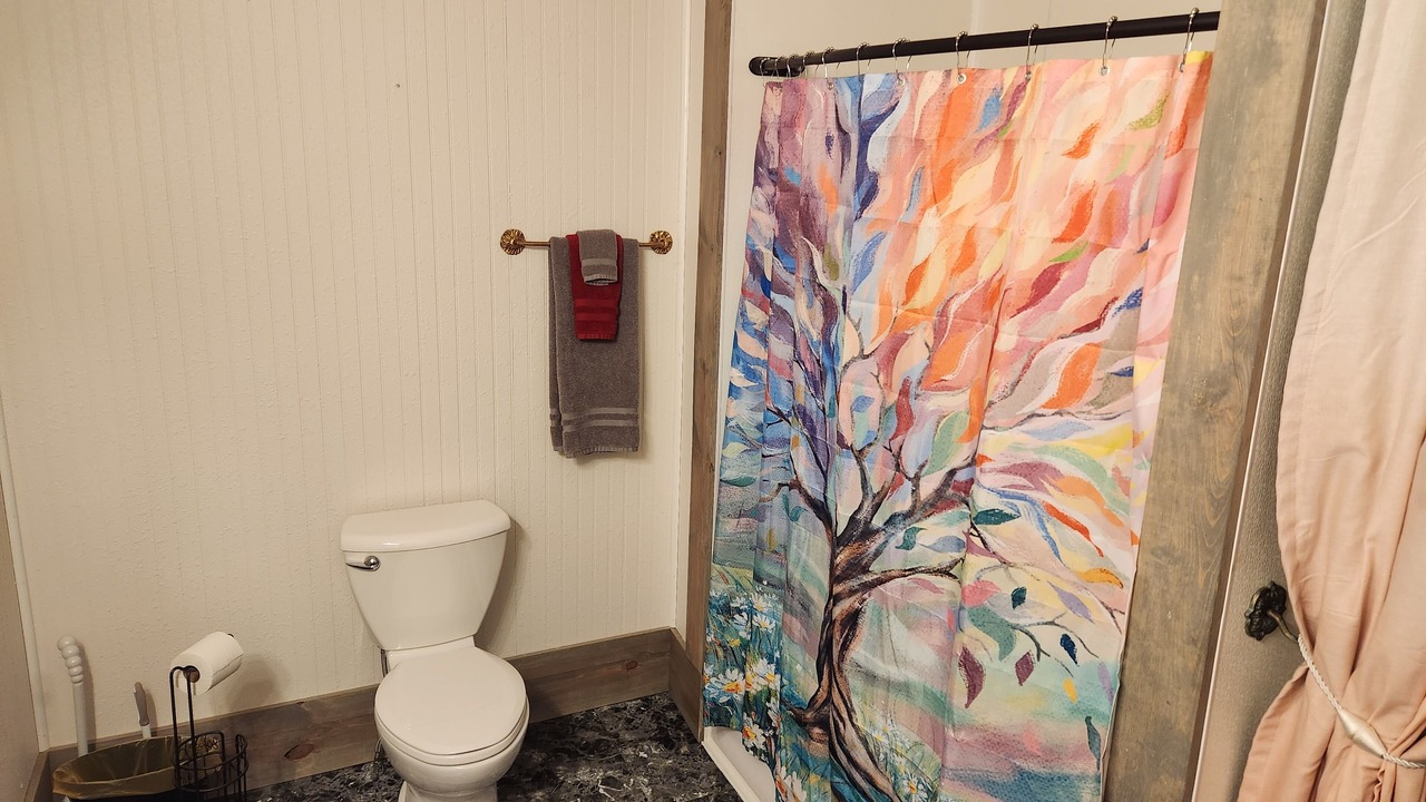 Photo of Bathroom in Lansing