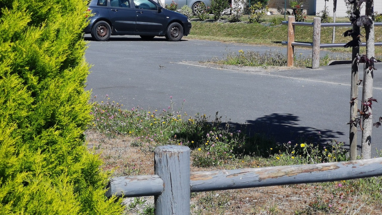 Photo of Outdoor in Le Vivier-sur-Mer