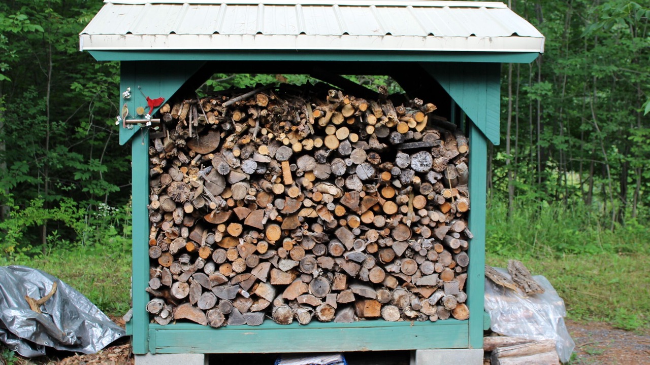 Photo of Outdoor in Dansville