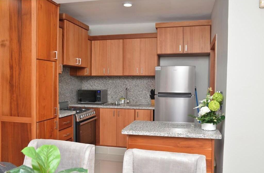 Photo of Kitchen in San Francisco de Macoris