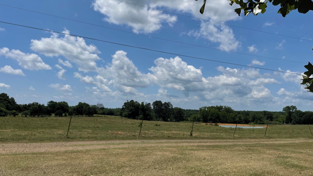 Photo of Others in Dardanelle