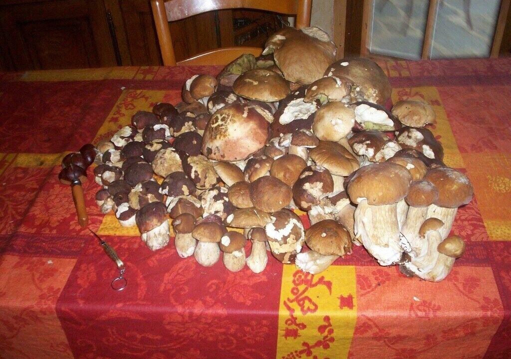Photo of Others in Courniou
