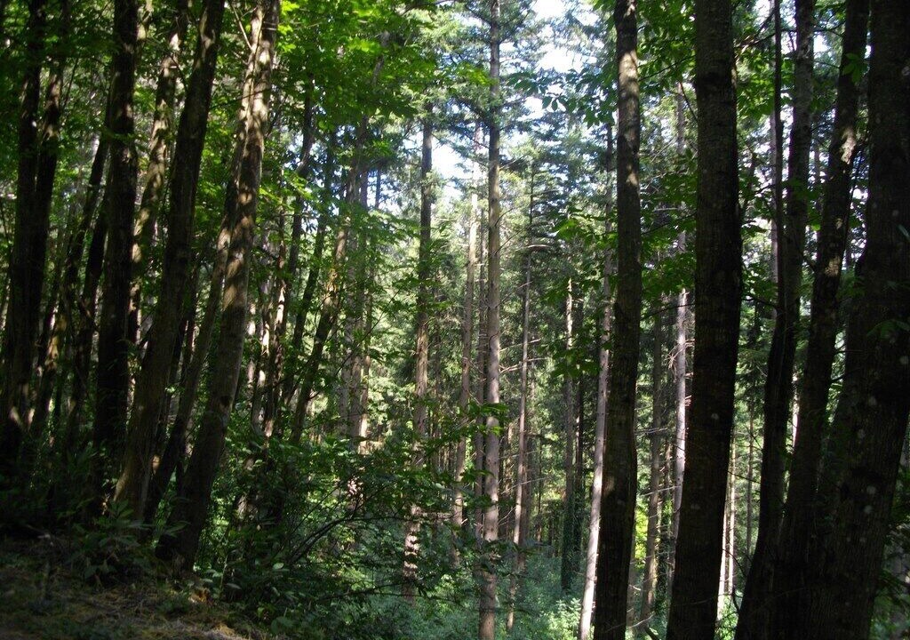 Photo of Outdoor in Courniou