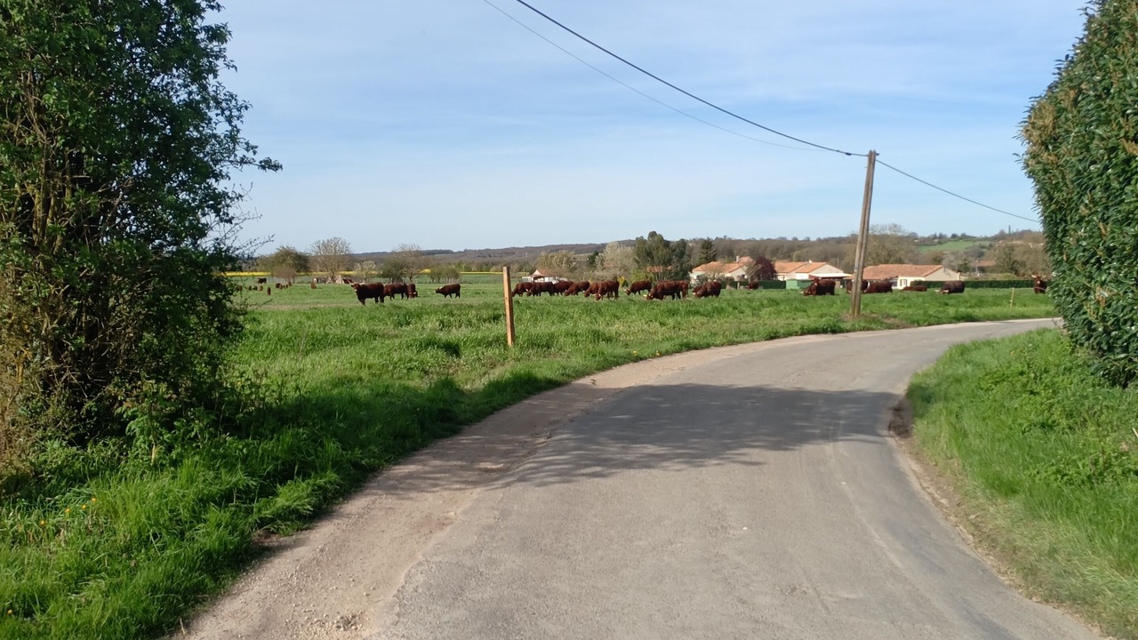 Photo of Others in Vienne