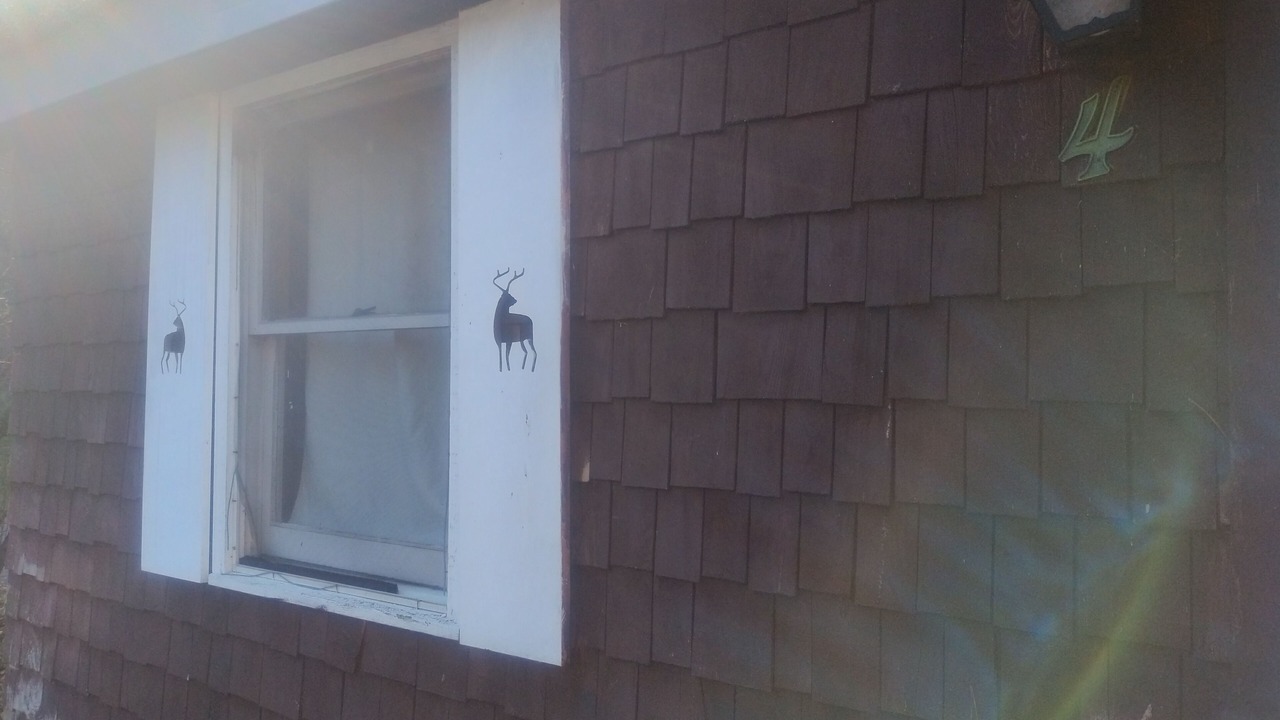 Photo of Outdoor in Oliverea