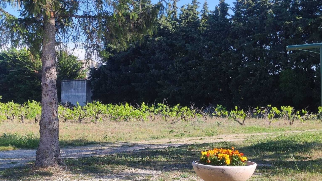 Photo of Outdoor in Bouchet