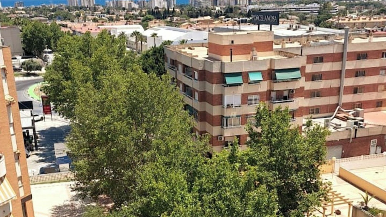 Photo of Outdoor in San Juan de Alicante
