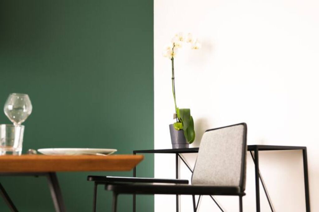 Photo of Others in Laval