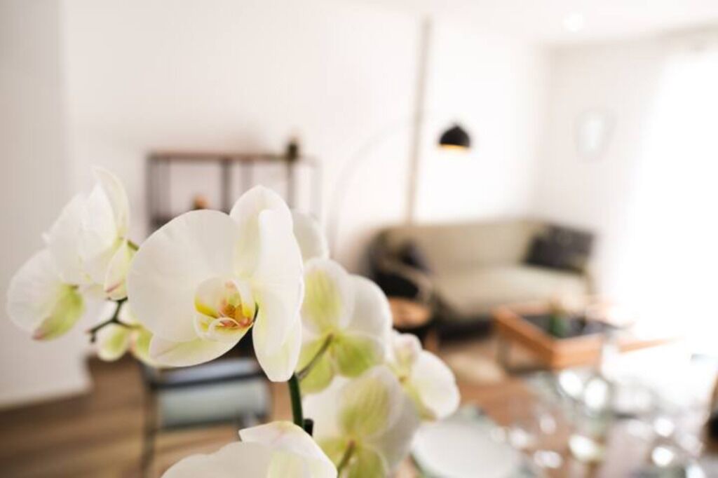 Photo of Others in Laval