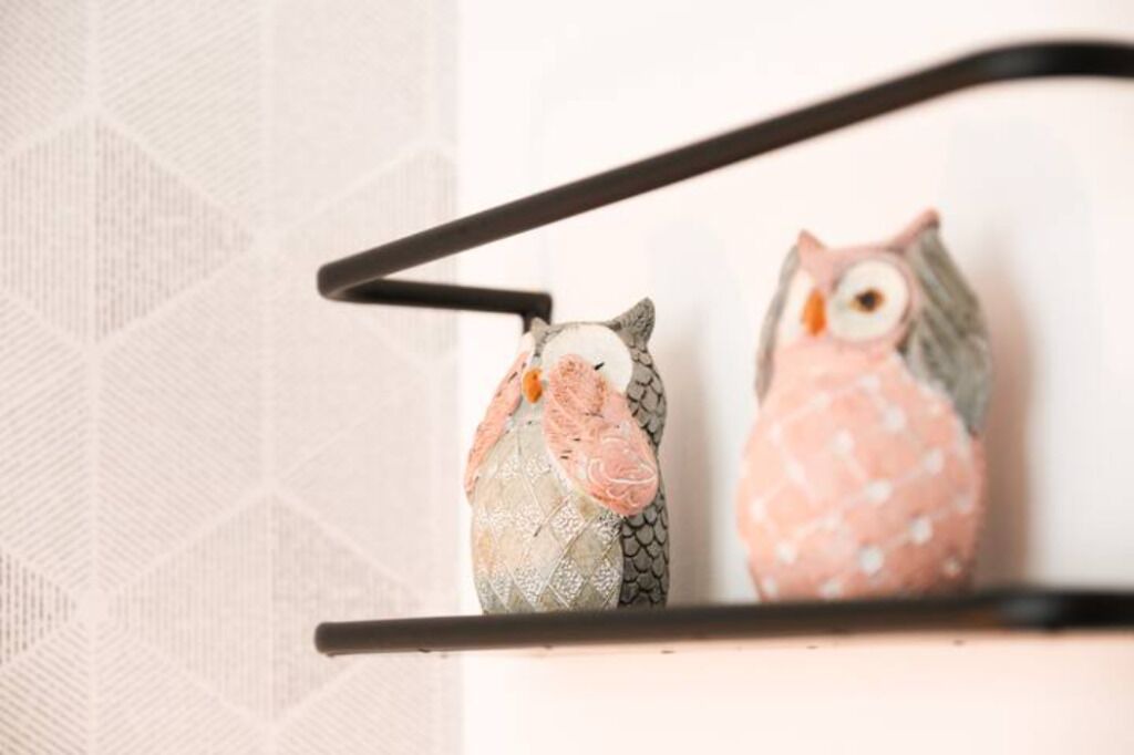 Photo of Others in Laval