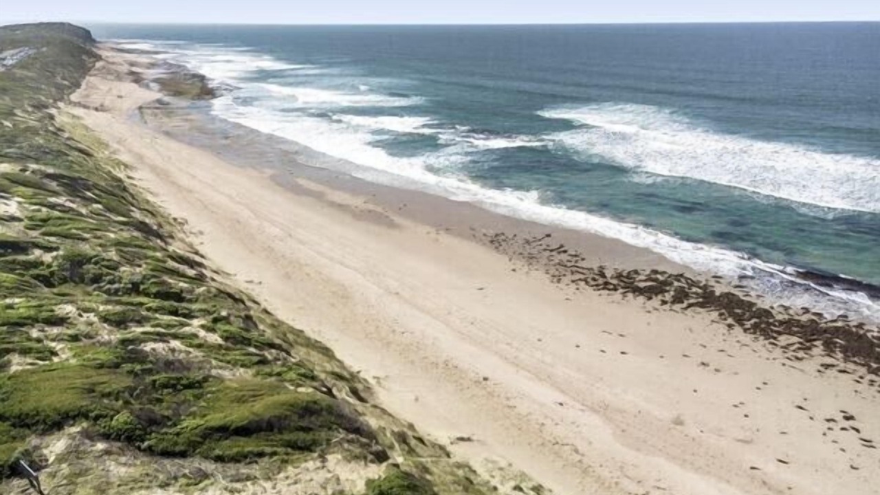 Photo of Others in Connewarre