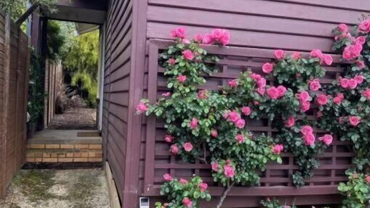 Photo of Outdoor in Maryborough