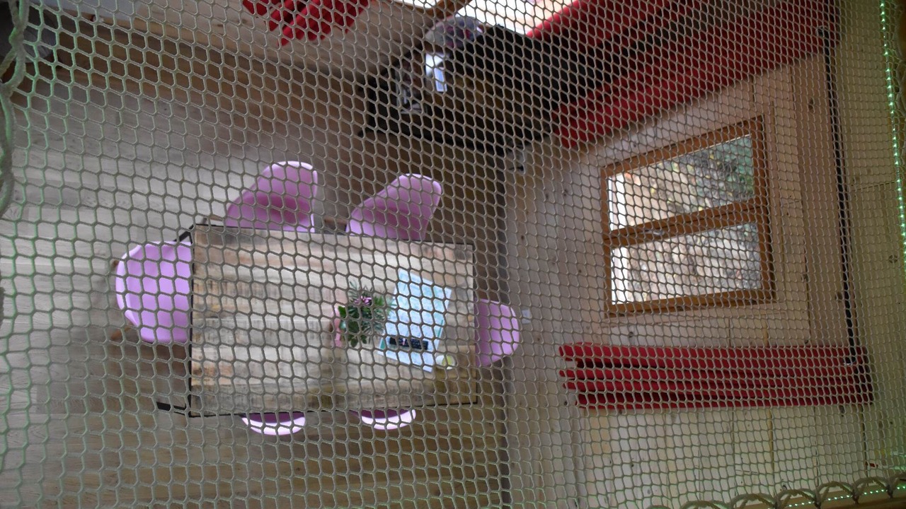 Photo of Others in Grand Langres