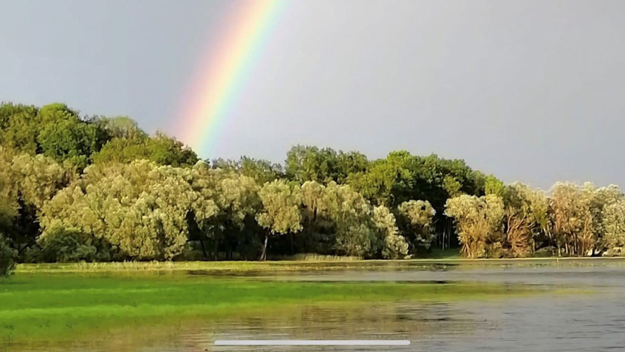 Photo of Others in Grand Langres