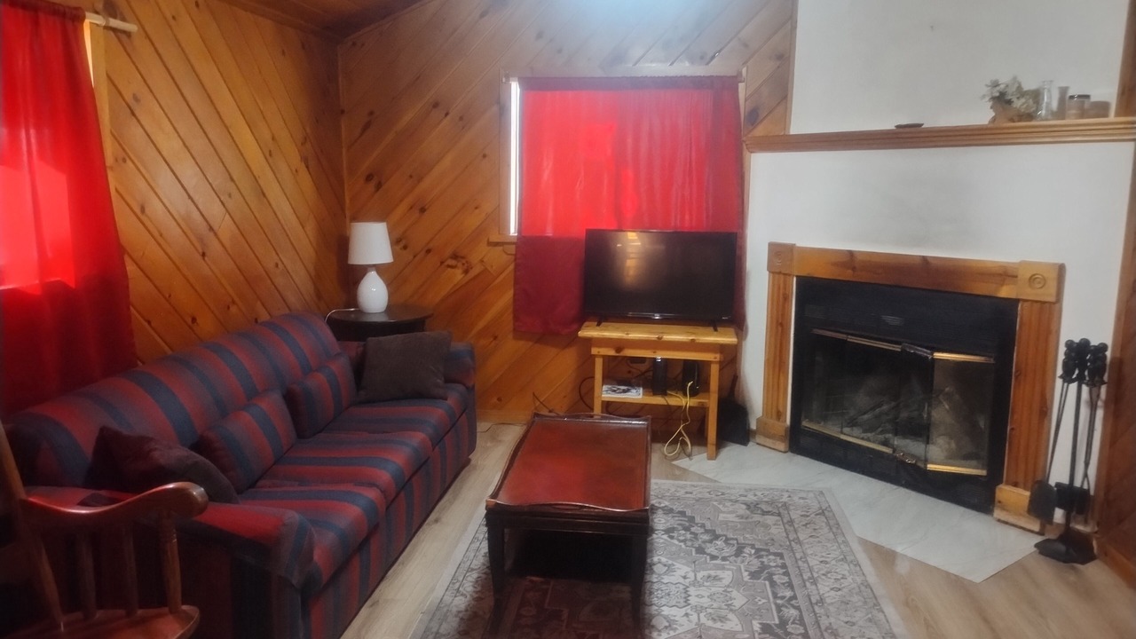 Photo of Livingroom in Oliverea