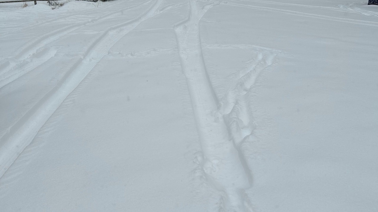 Photo of Others in Oliverea