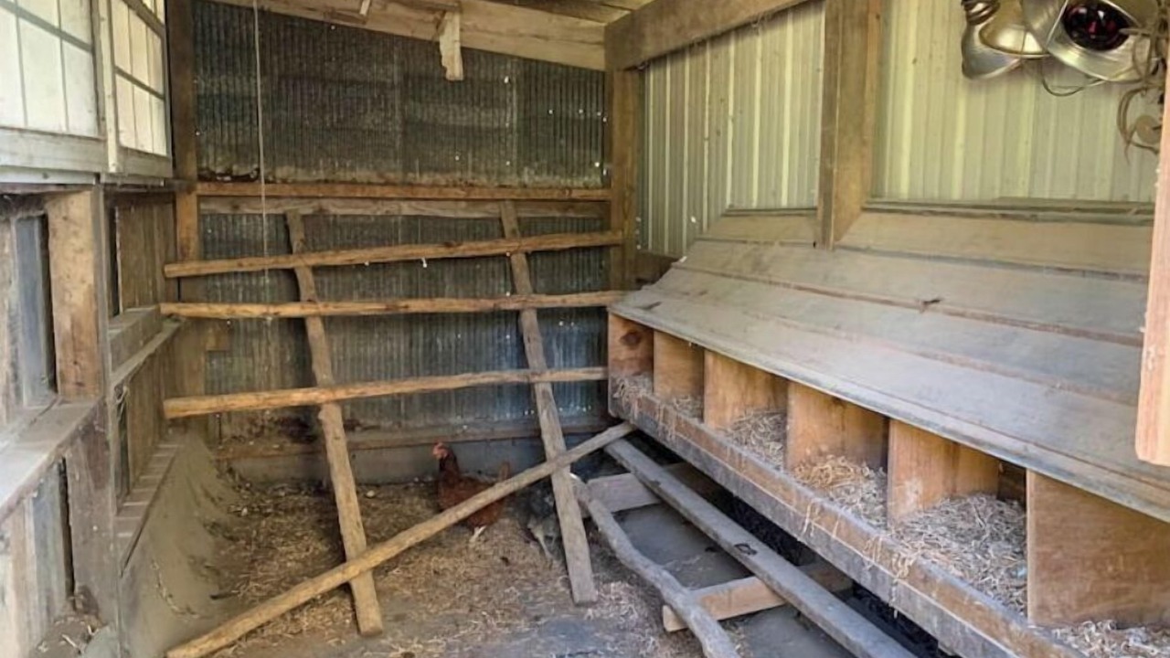 Photo of Others in Versailles