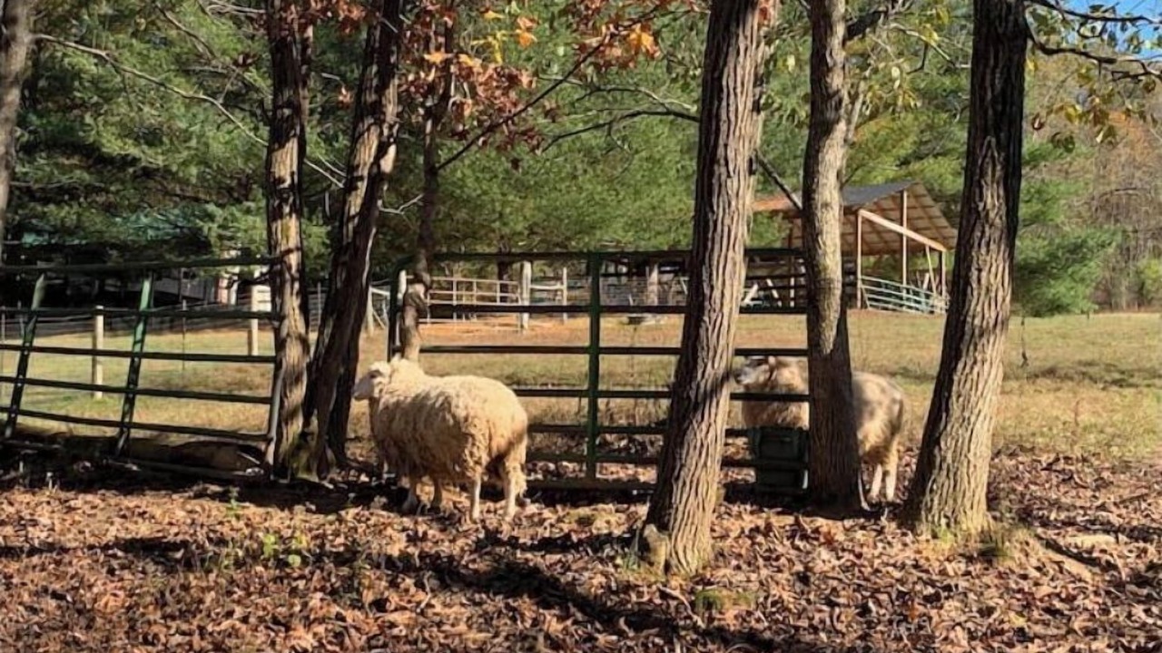 Photo of Outdoor in Versailles