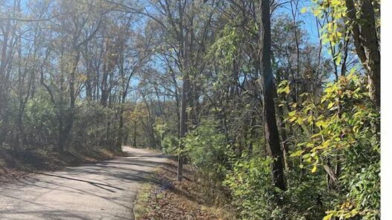 Photo of Outdoor in Versailles