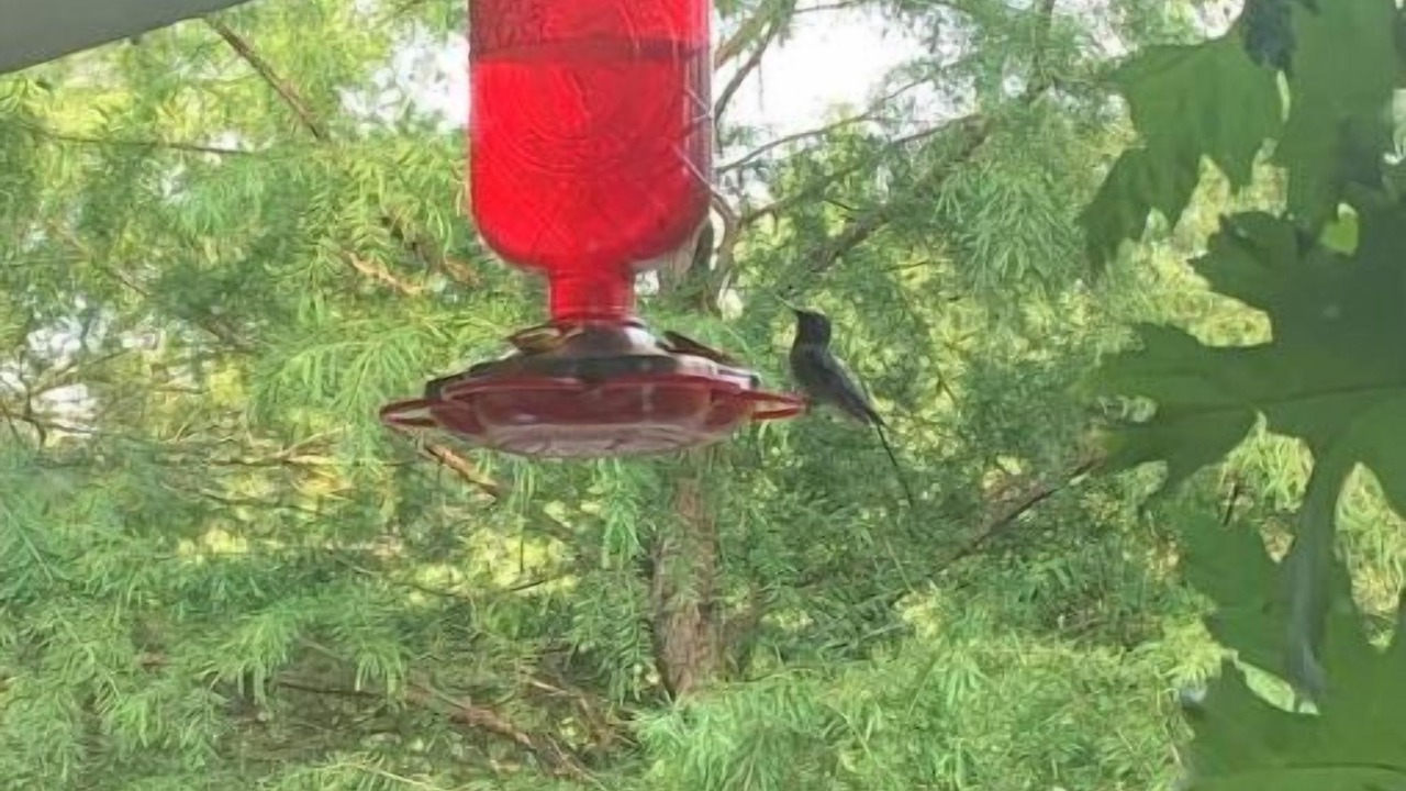 Photo of Outdoor in Versailles
